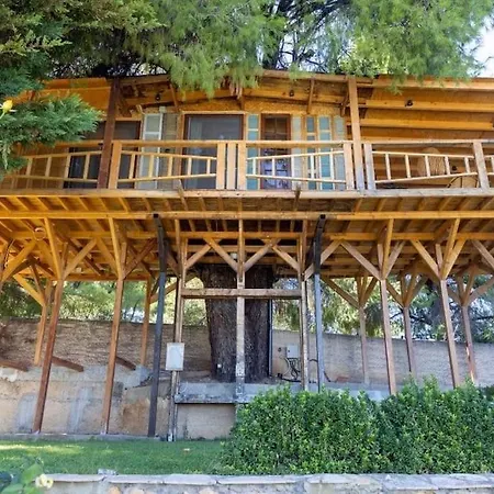 Sani Tree House Sani (Chalkidiki)