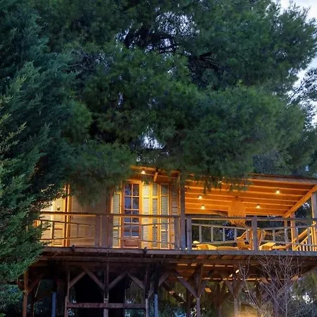 Tatil Evi Sani Tree House Sani (Chalkidiki)