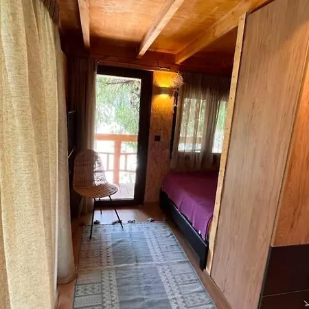 Semesterbostad Sani Tree House *