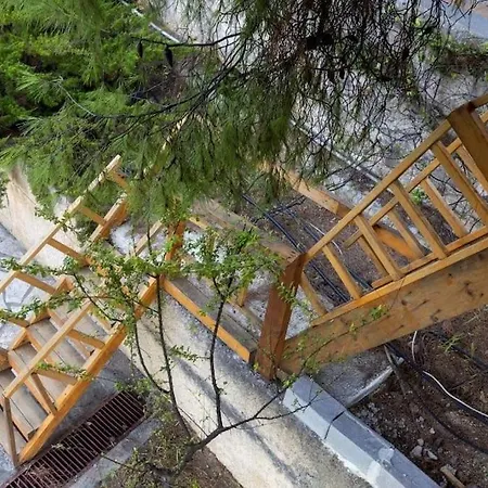 Sani Tree House Semesterbostad