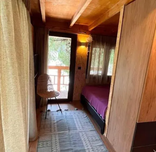 Feriehus Sani Tree House *