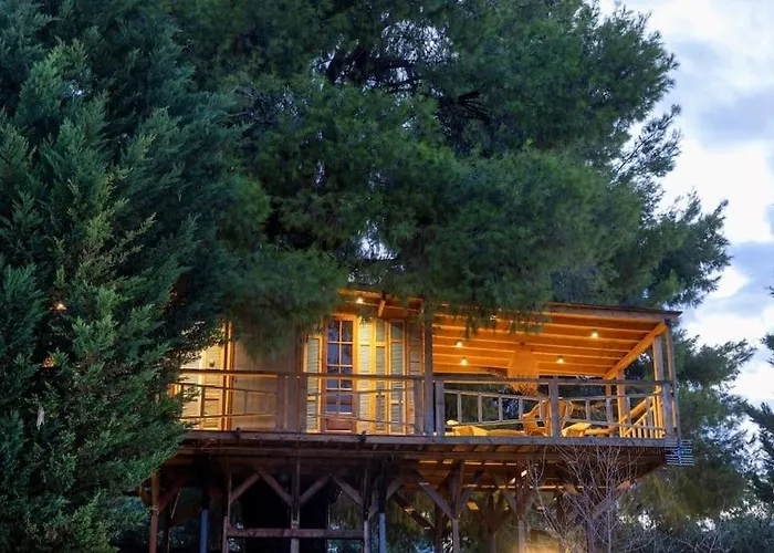 Feriehus Sani Tree House Sani (Chalkidiki)