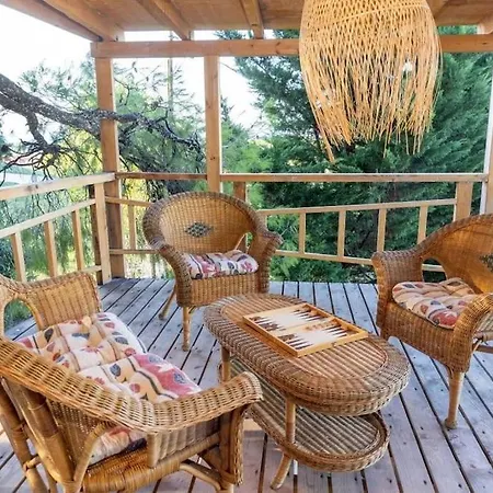 Sani Tree House Semesterbostad