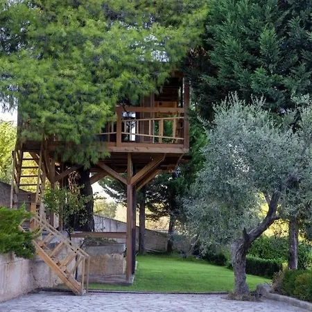 Sani Tree House * Sani (Chalkidiki)